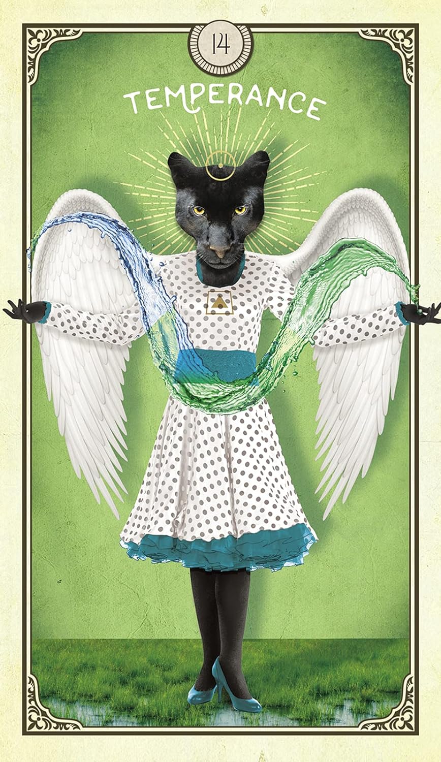 The Tarot of Curious Creatures
